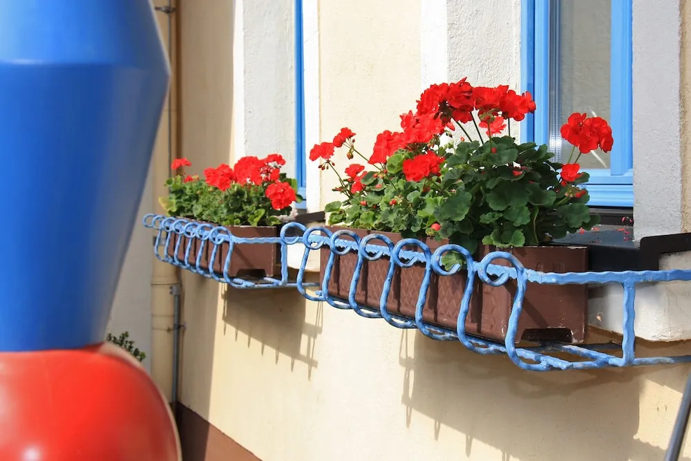 Hotel Erbgericht Buntes Haus
