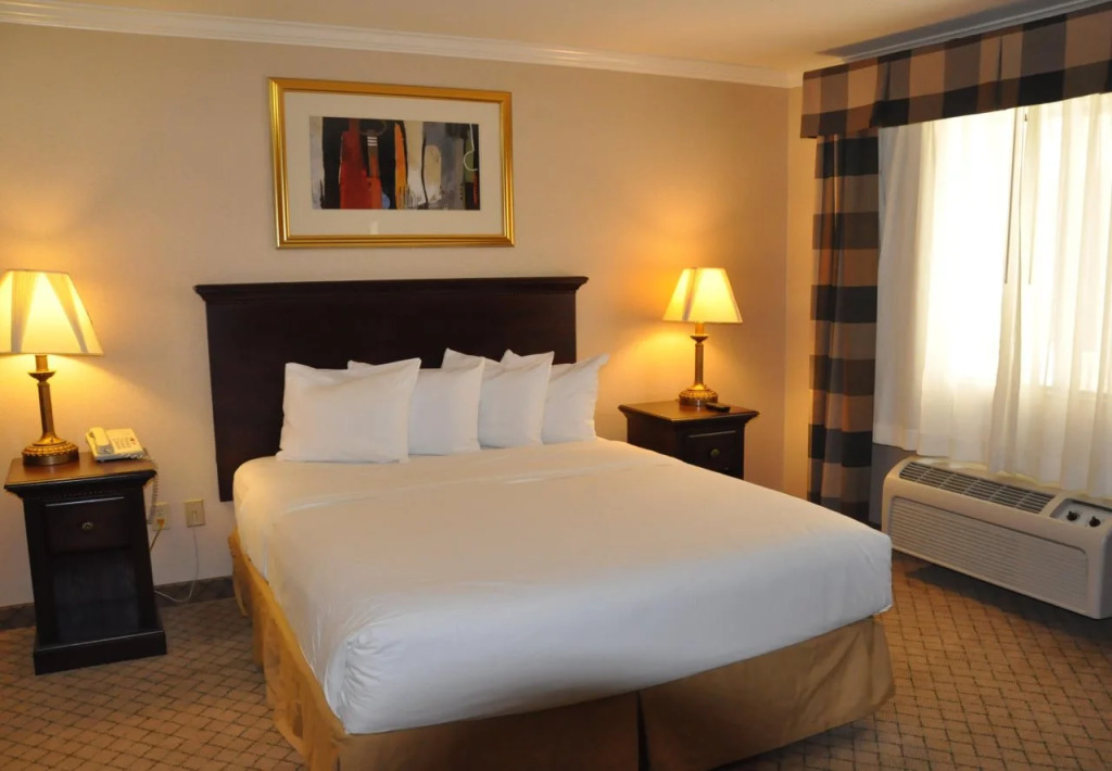 All Star Lodge