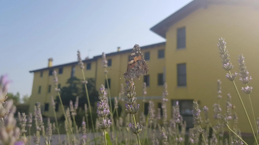 Agriturismo ai Casali