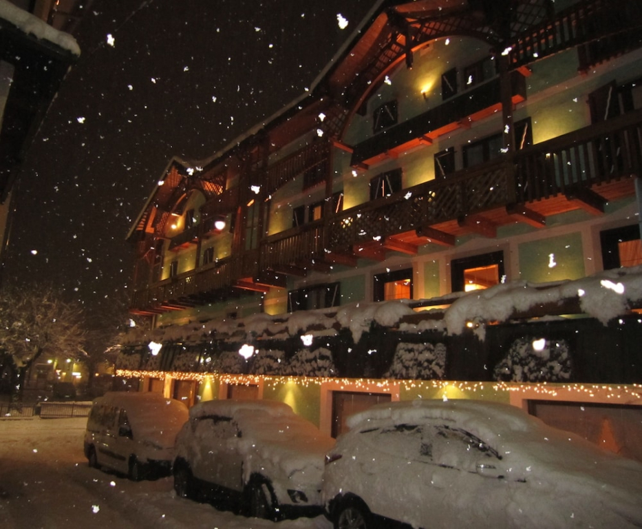 Hotel Alpina