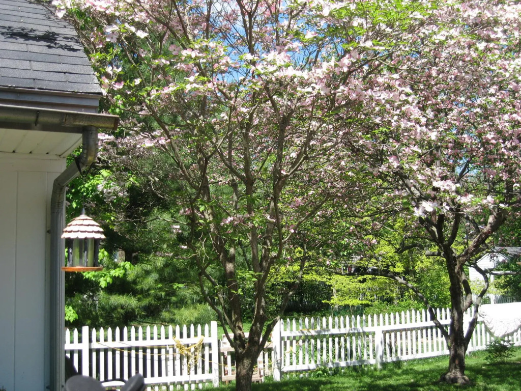 Beautiful Valley Guesthouse