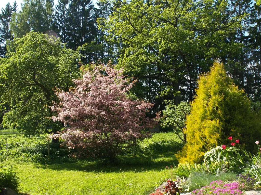 Mokko Country Hotel