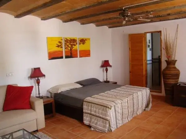 La Palmera Ibiza