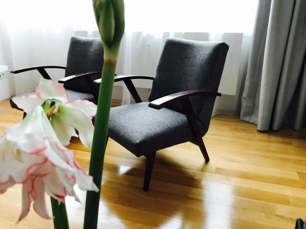 Design Apartment in Park