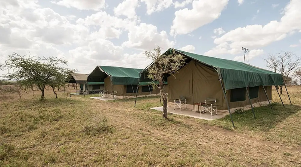 Serengeti Wild Camp