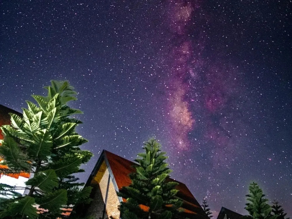 Oxy Resort