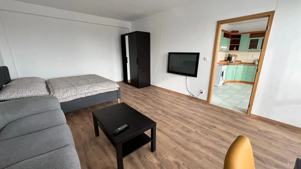 1 room Apartment with balcony, Dolezalova street
