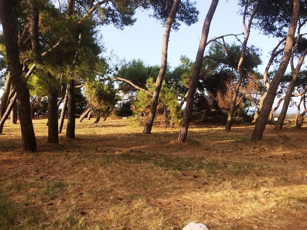 Holiday Home Picciano Near Medieval Towns