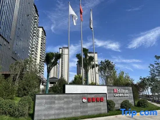 Hilton Garden Inn Fenyang YuLongWan