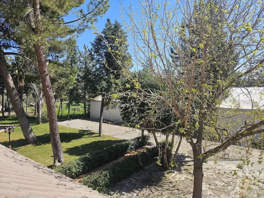 Vega de la Reina