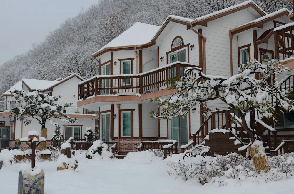 Forest of Color Pension