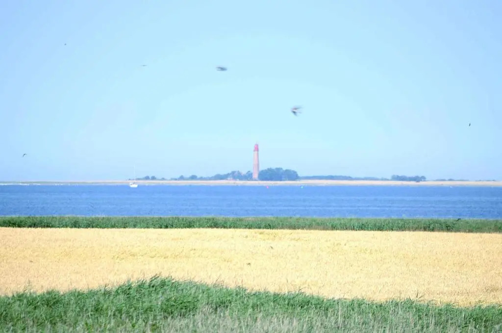 Fehmarn Ostseeferien FH4Haus Schilfrauschen 1301