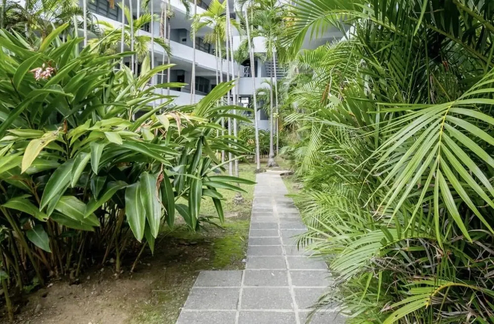 Peaceful Condado Lagoon 1 Bedroom
