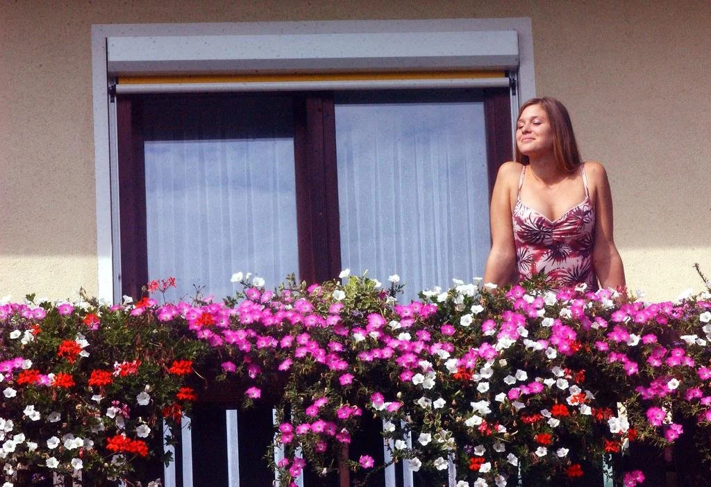 Hotel Marko