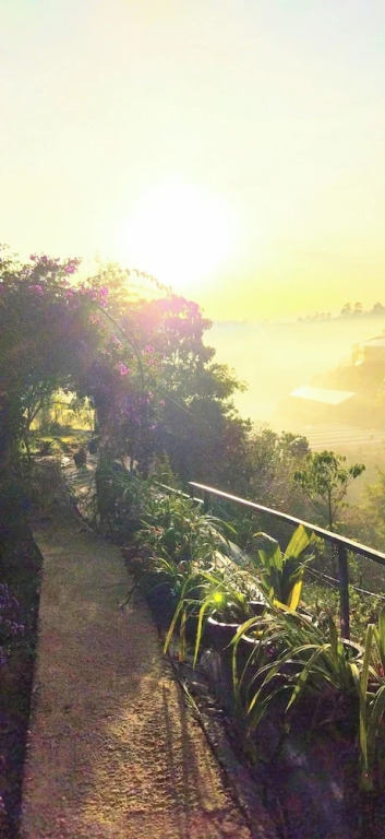 Tuyết Hoa Hòn Bồ Homestay