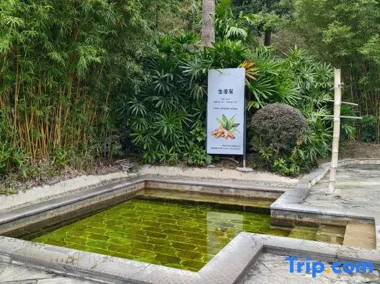 Luofushan Jiabaotian International Hotspring Resort