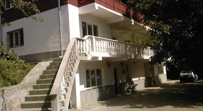 Vila Poienita