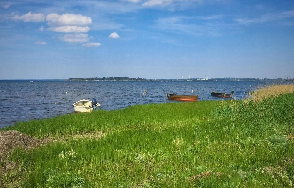 Sanddorn