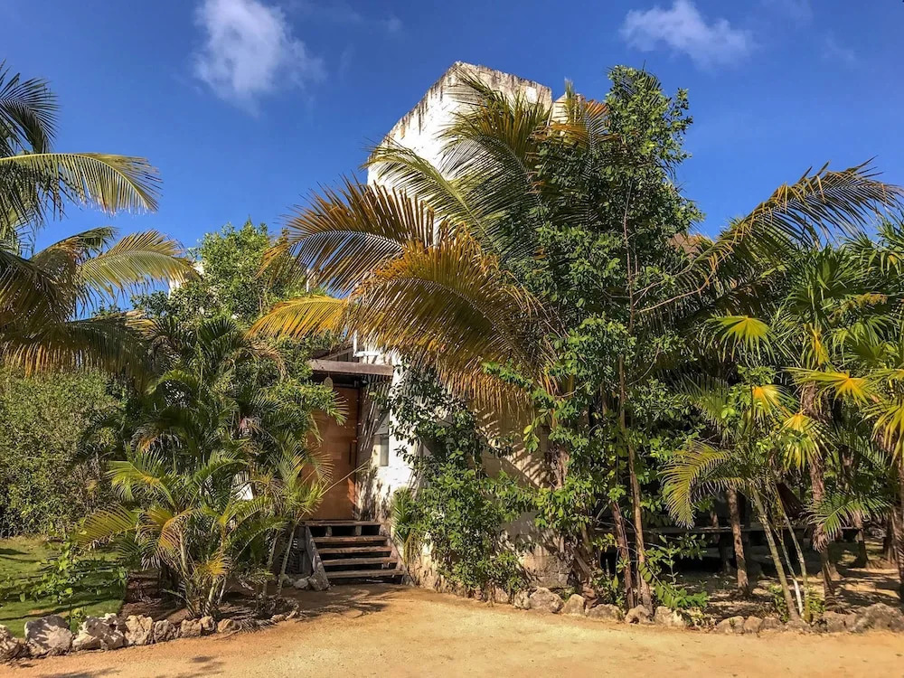Vida Silvestre Tulum