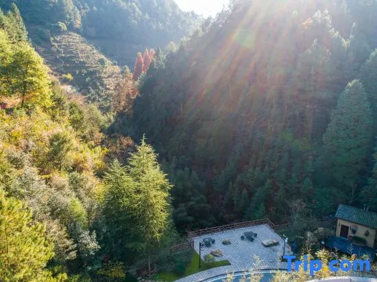 Huangshan Citied Utopia Torreya Valley Hotel