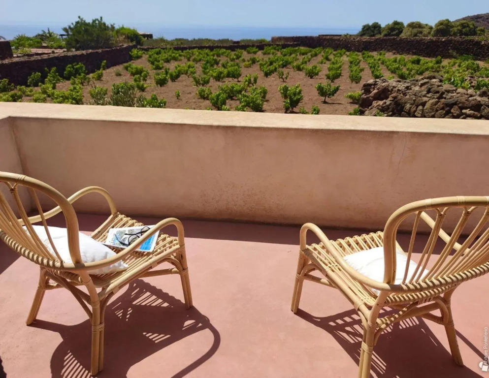 Abraxas Vigne di Pantelleria - Tenuta Bukkuram