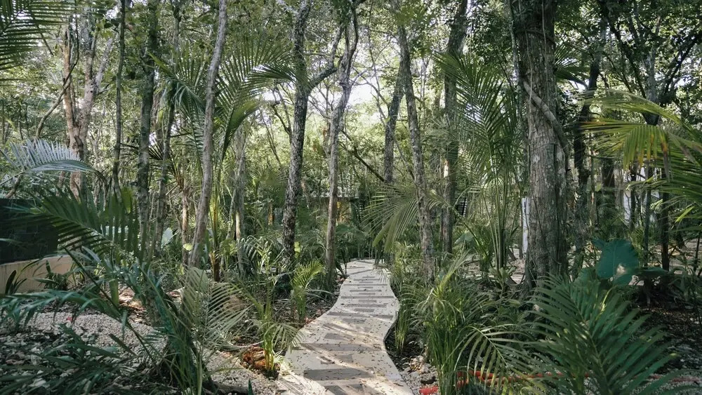 Tulum Jungle Villa Tierra