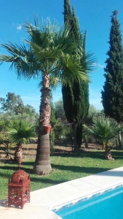 House With 4 Bedrooms in Álora, With Wonderful Mountain View, Private