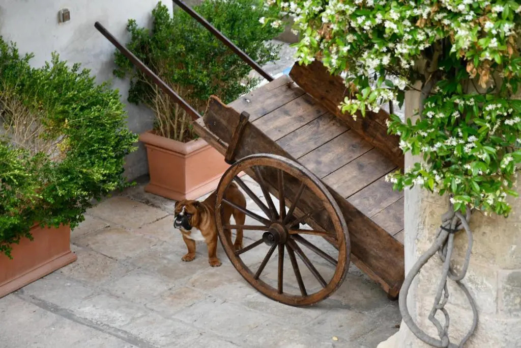 Dimora Duchessina Suites de Charme