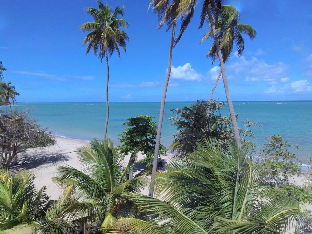 Slice of Paradise