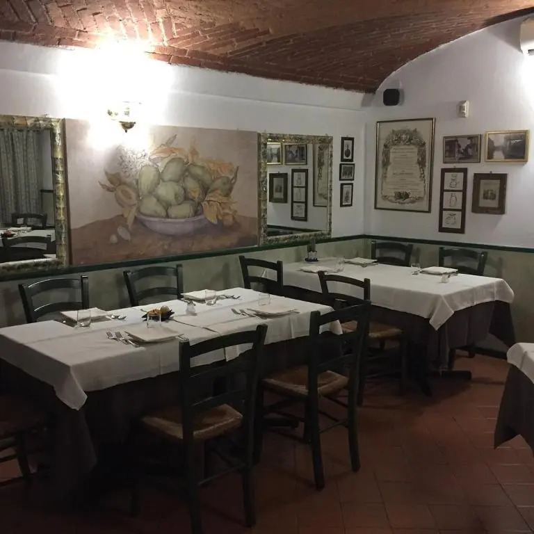 Il nido dei gufi
