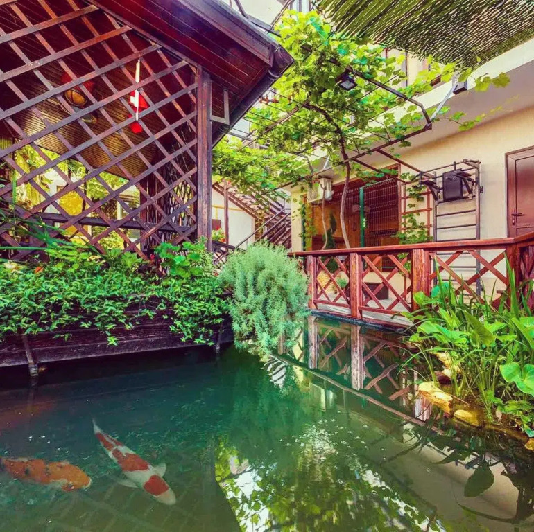 Guest House Goldfish