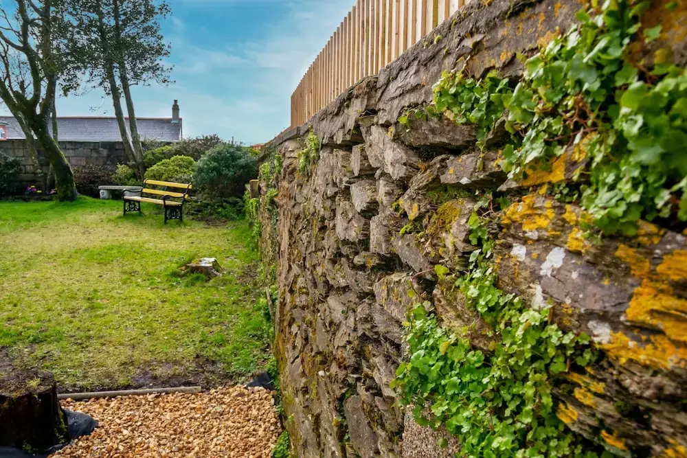 Pet-friendly Vintage Cottage, No Deposit