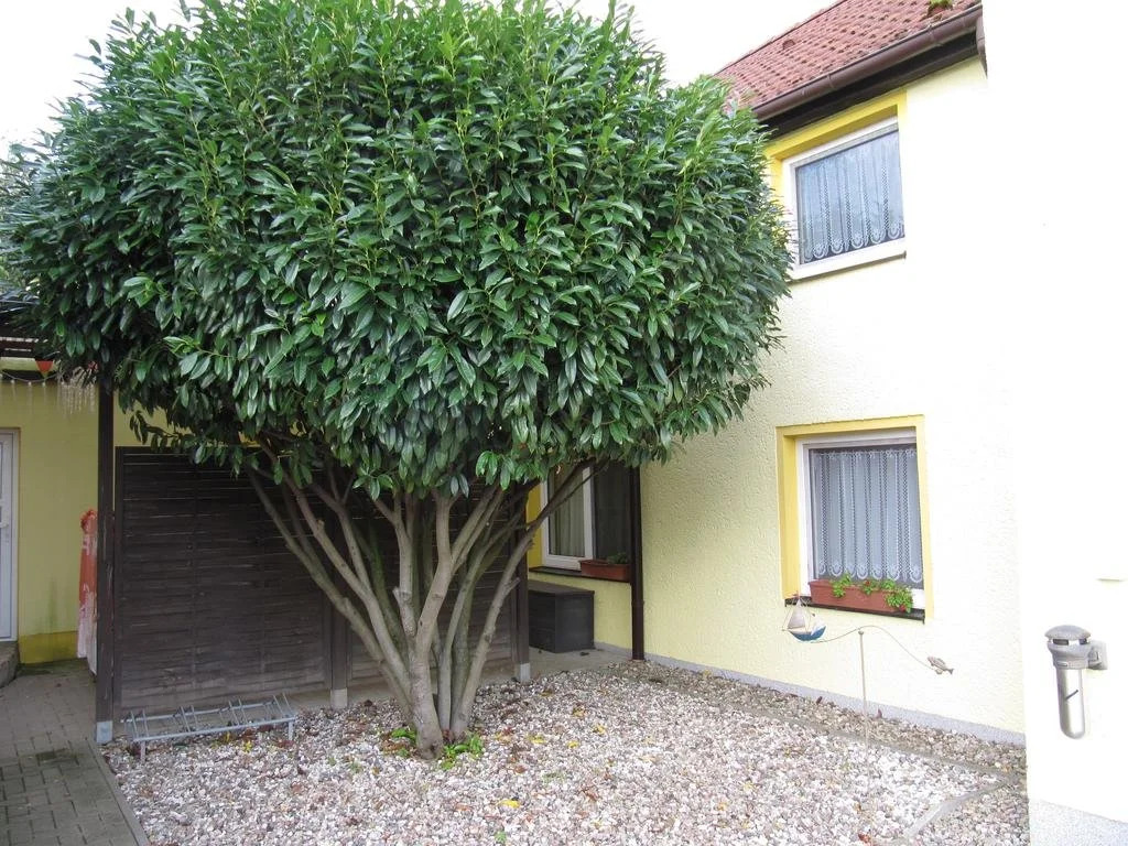 Zimmer Mellentin