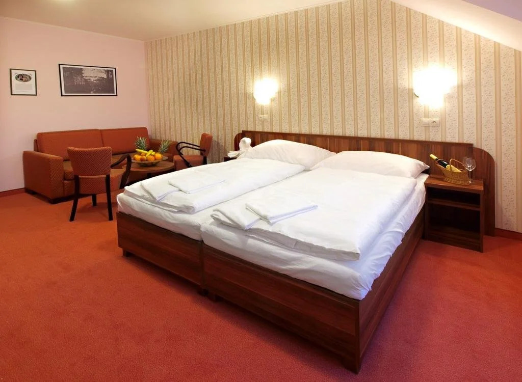 Hotel Studanka
