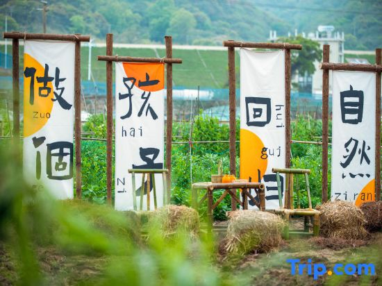 Shengsi Pushu • 18 mu B&B