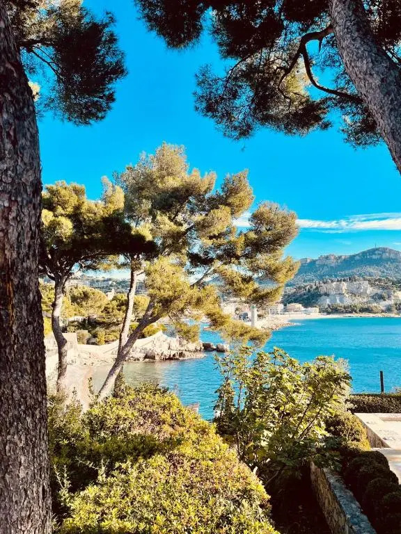 AU BORD DE L'EAU Studio climatisé avec Terrasse et vue mer à 40m de la plage