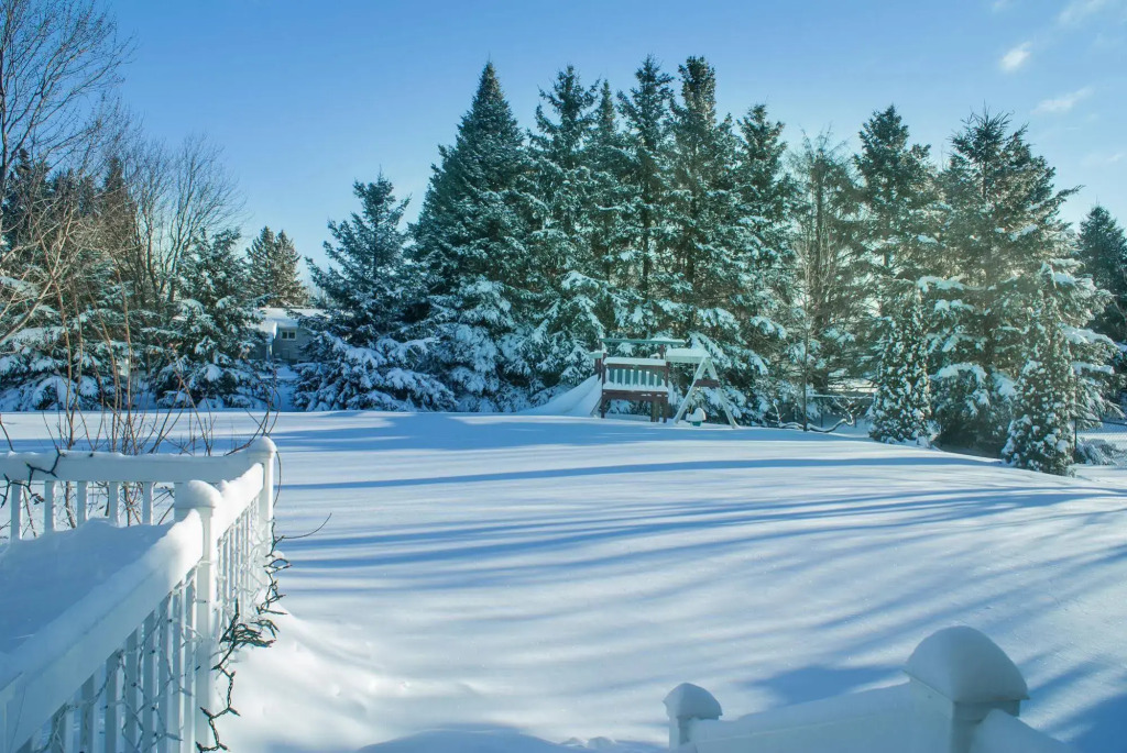High Trees Bed & Breakfast