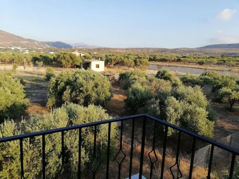 Olive grove with sea view, 20' walk to the beach