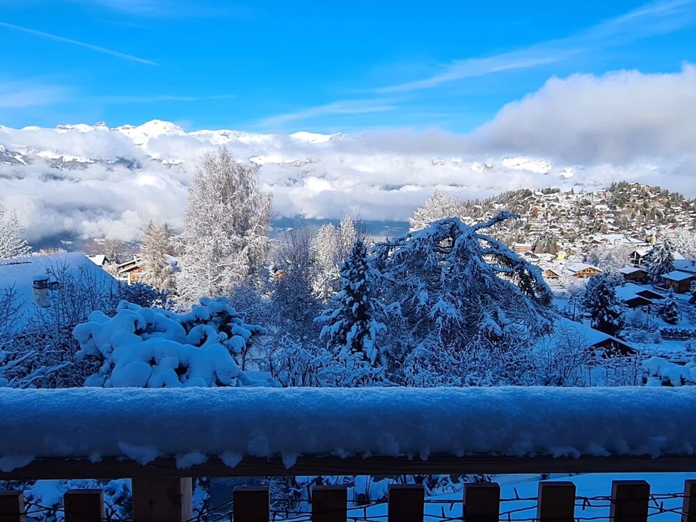 Chalet Les An Mones Chalais