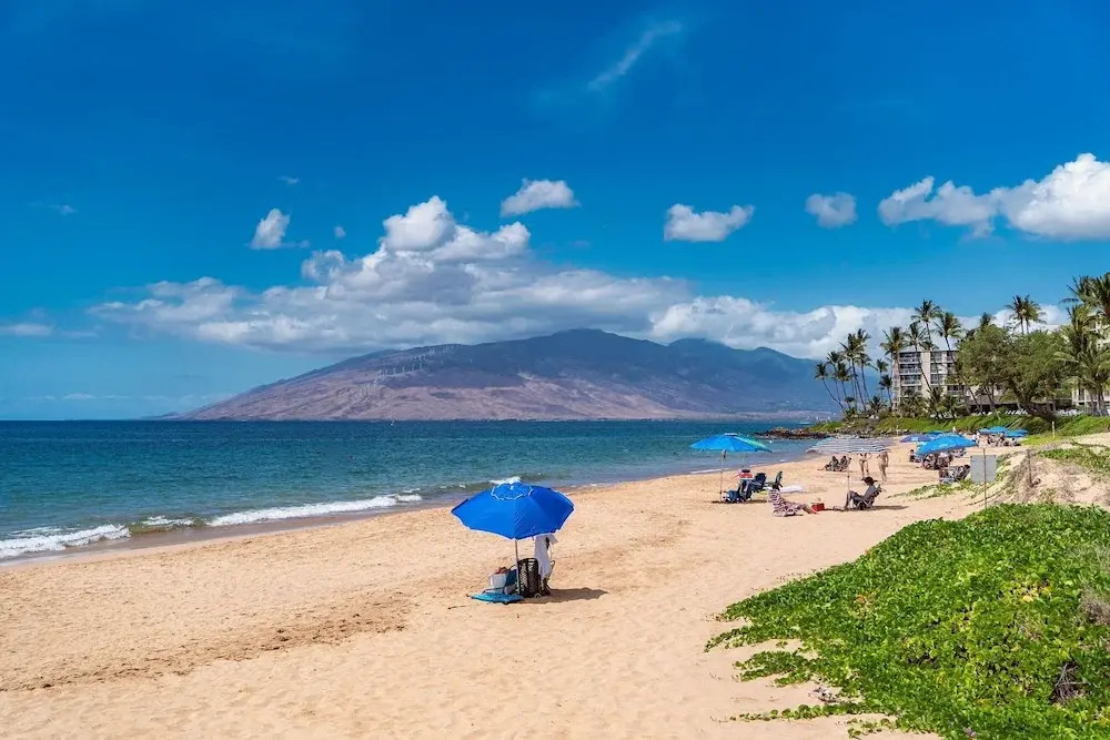 Kihei Akahi D-g04 - Beautiful Renovation Ground Floor Unit, No Carpet, Split AC!
