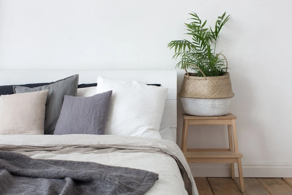 Reveli Suites