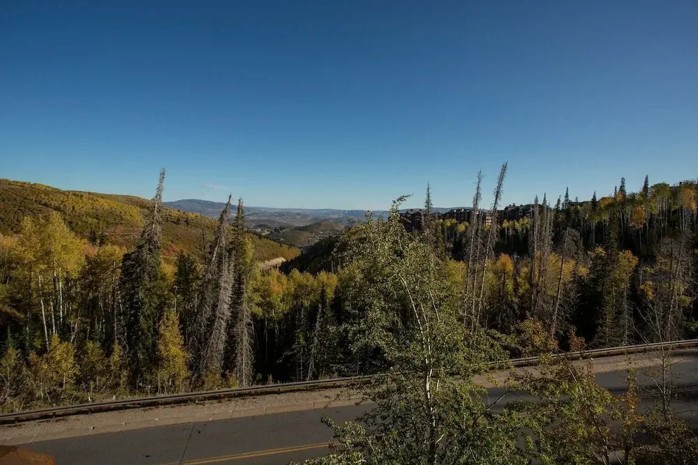 Grand Lodge - Three Bedroom #301 - Ski-in/ski-out 3 Condo