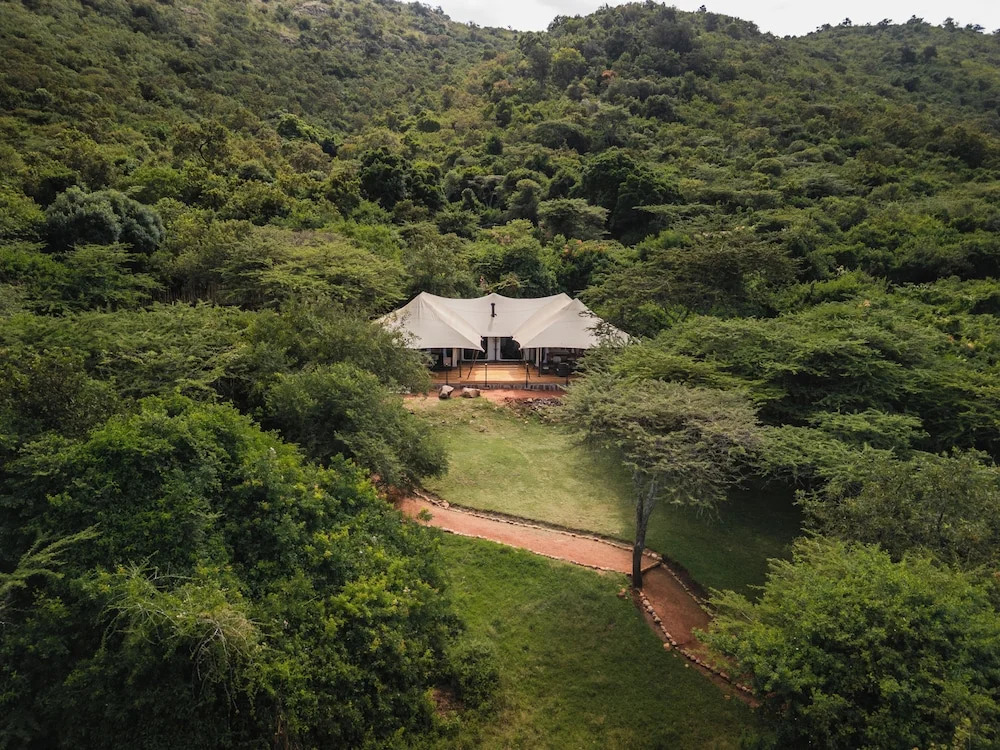 Cottars Safaris
