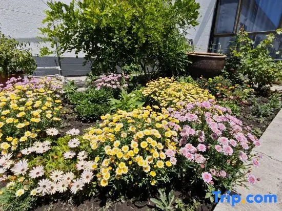 Xinyuan Dandan Shanshui Homestay