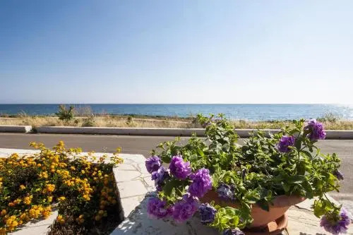 Locazione Turistica Frontemare