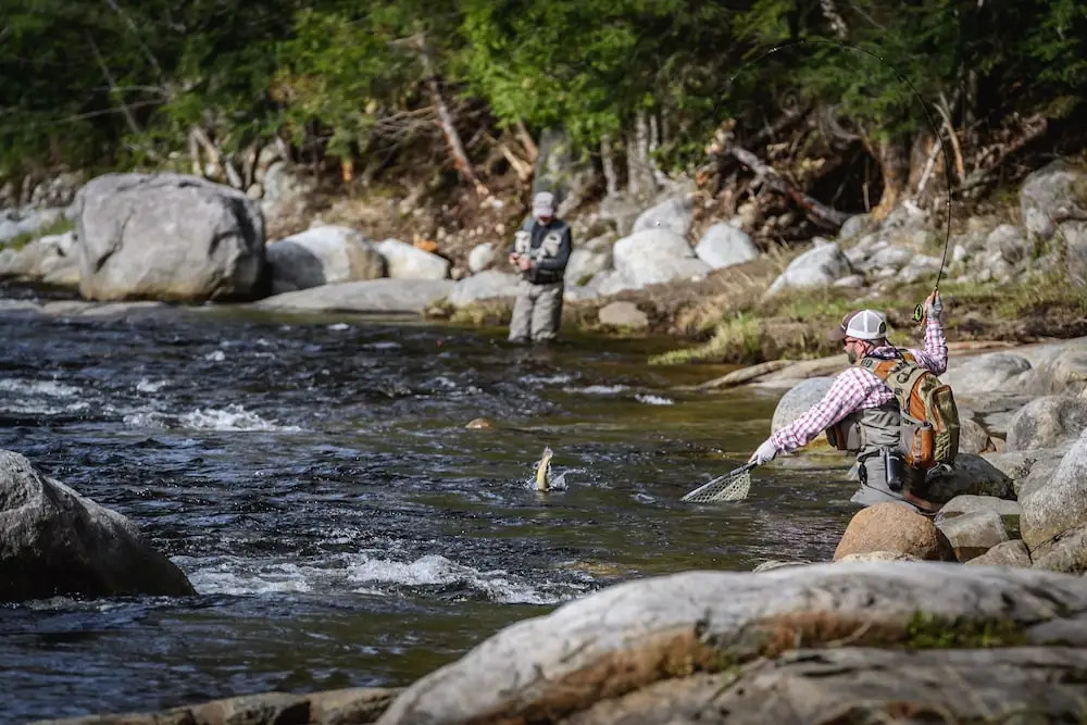 Hungry Trout Resort