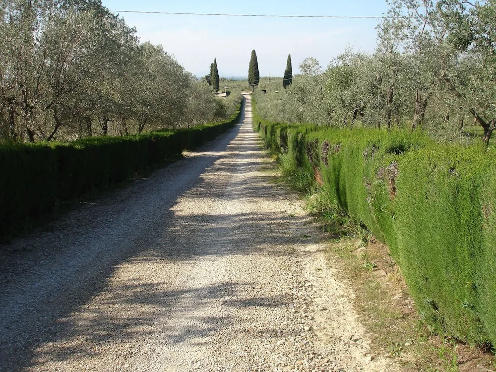 Agriturismo La Papessa - Fattoria Montecchio