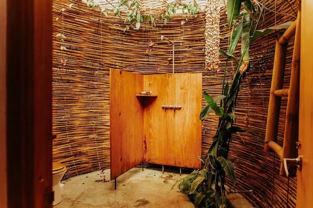 The Seed Habitat