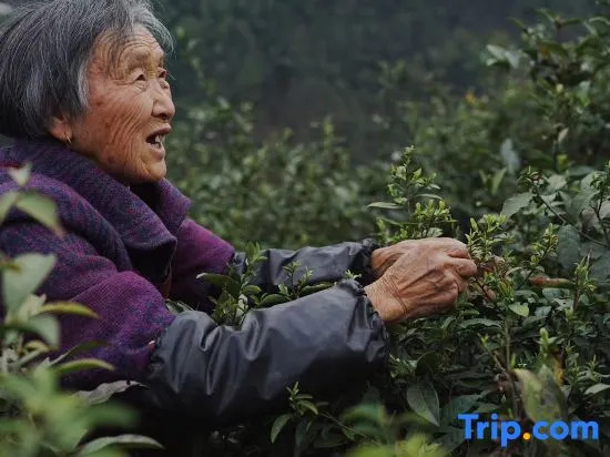 Tongcheng Shangmen No.8 Guesthouse