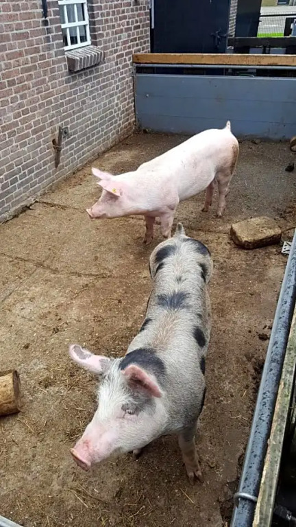 De Priesnitzhoeve